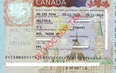 Visa du học Canada - Ngô Thiên Vũ