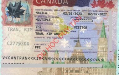 Visa du lịch Canada - Trần Kim Anh