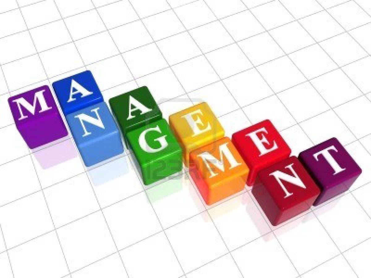 Graduate Diploma in Management (Level 7) – WelTec – Du học New Zealand