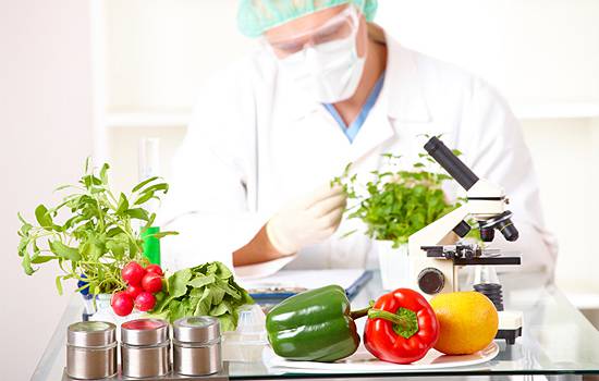 Du học New Zealand - Khoa học Thực phẩm (Food Science) - University of Otago