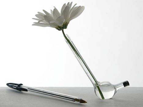 Du học New Zealand - Viết Sáng tạo (Creative Writing) - Whitireia