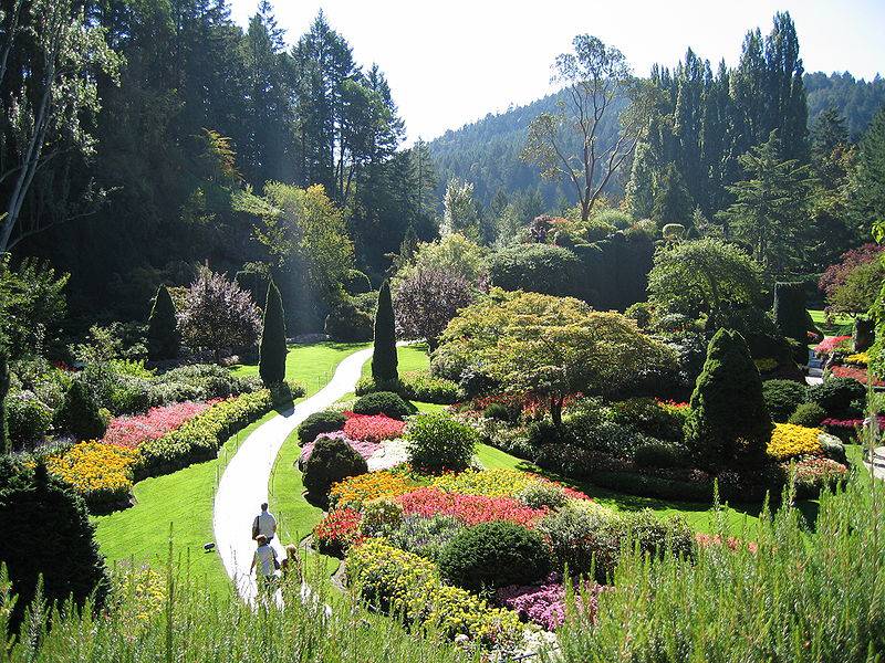 Du học New Zealand - Làm vườn (Horticulture – Arboriculture – Nghề trồng cây) - Otago Polytechnic