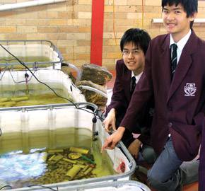 Du học Úc - James Cook Boys Technology High School –Trung học Công lập NSW