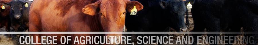 Du học Mỹ - Cử nhân chuyên ngành Kinh doanh nông nghiệp (Agribusiness) – West Texas A&M University