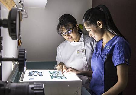 Du học Canada - Vệ sinh Nha khoa (Dental Hygiene) – Camosun College