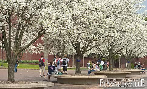 ESLI - Vào thẳng Southern Illinois University Edwardsville với học bổng 70% học phí - Du học Mỹ