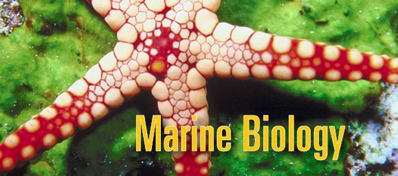 Associate of Science Marine Biology (Sinh học Biển) - Southwestern Oregon Community College – Du học Mỹ