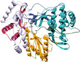 Du học New Zealand - Tại sao học Hóa sinh (Biochemistry) tại University of Canterbury?