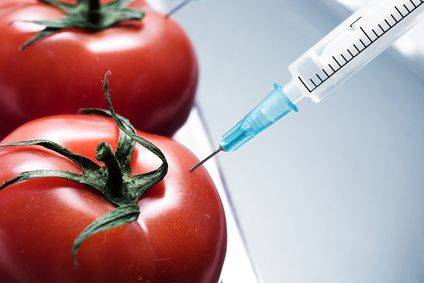 Ngành Công nghệ sinh học (Biotechnology) tại trường Đại học Murdoch – Du học Úc 