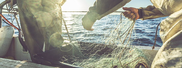 Chứng chỉ III về Vận hành đánh bắt cá (Fishing Operations) tại Tafe Western Australia