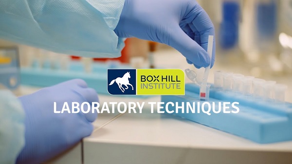 Chứng chỉ IV Kỹ thuật Phòng thí nghiệm tại Box Hill Institute
