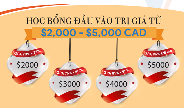 Chương trình học lớp 12 của Trung học Kingsway Academy
