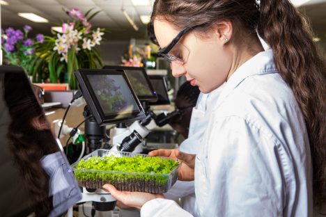 Cử nhân Khoa học môi trường (Environmental Science) tại Griffith University