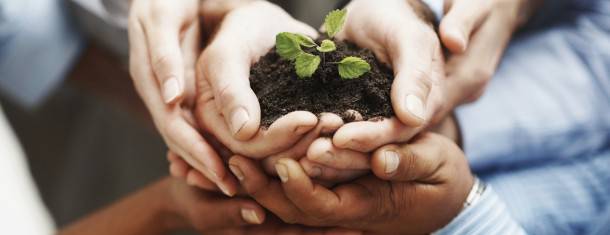 Du học Canada - MBA in Community Economic Development - Cape Breton University