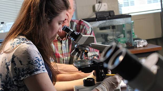 Du học Mỹ - Sinh học (Biology) - Roanoke College, Virginia