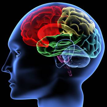 Du học Mỹ - Tâm lý học (Psychology) - San Jose City College