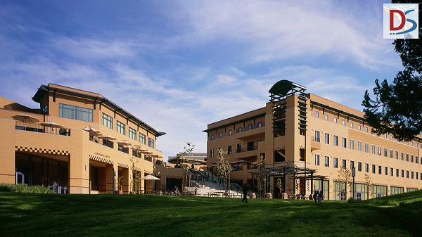 Extension College Options in the USA