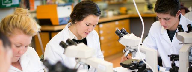 Du học New Zealand - Chứng chỉ ngành Sức khỏe (Level 4) – Otago Polytechnic