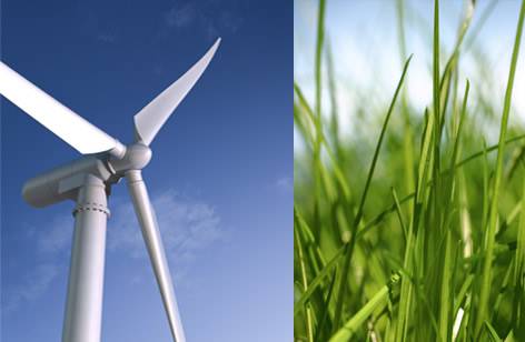 Ngành Năng lượng và môi trường (Energy and The environment) tại Đại học Murdoch – Du học Úc