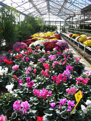 NGÀNH TRỒNG TRỌT (HORTICULTURE) - OTAGO POLYTECHNIC – DU HỌC NEW ZEALAND
