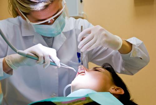 Du học Mỹ - Chương trình Cử nhân Vệ sinh Răng miệng của Đại học MCPHS, Massachusetts