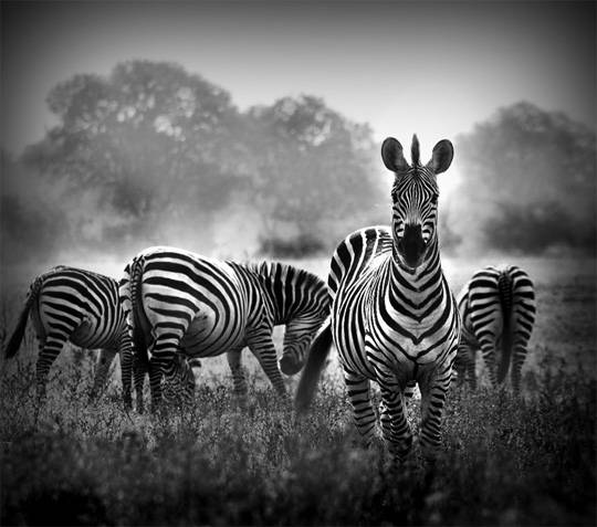 Certificate in Practical Photography - Whitireia – Du học New Zealand