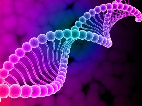 Du học Anh - Biology (Sinh học) - Đại Học Southampton