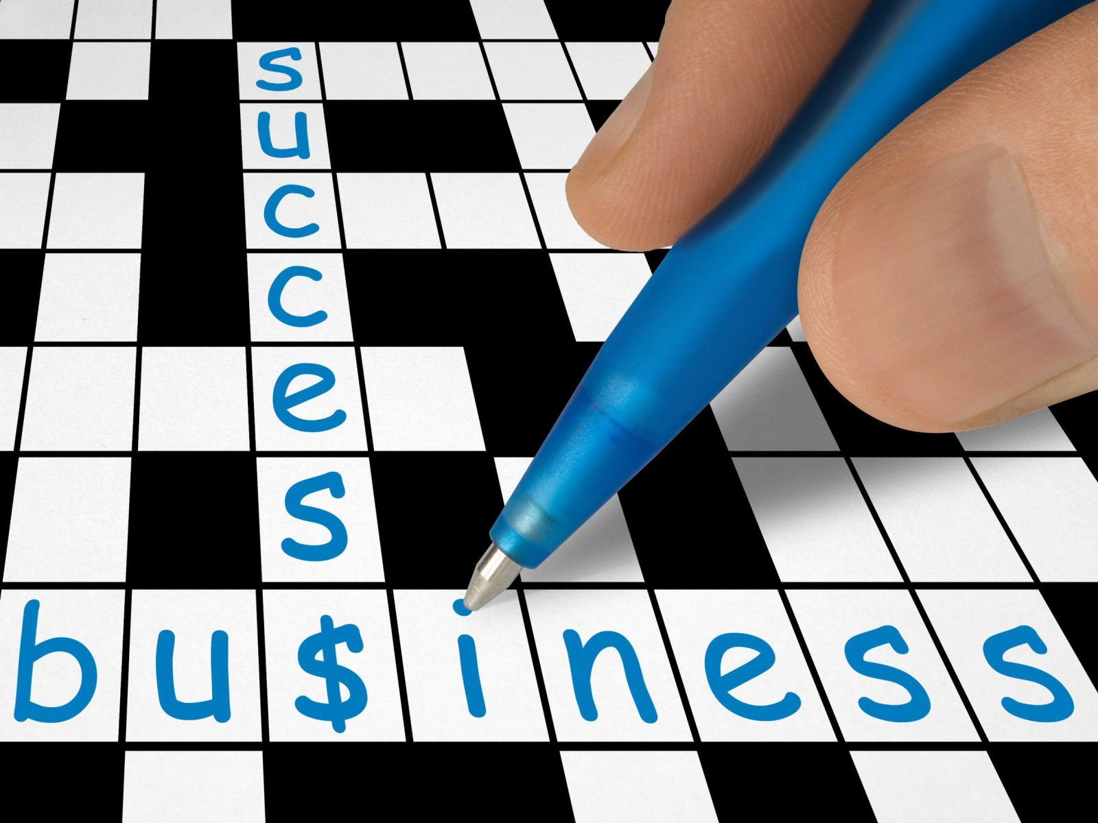 New Zealand Diploma in Business (Level 6) – WelTec – Du học New Zealand