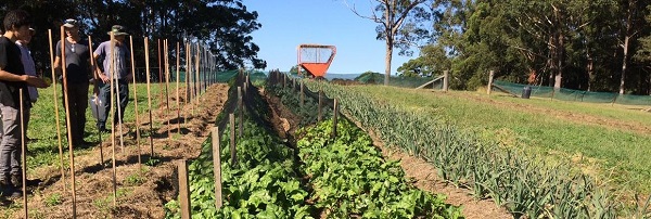 Văn bằng Nông nghiệp (Agriculture) tại TAFE NSW