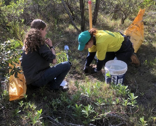 Văn bằng về Bảo tồn và Quản lý đất (Conservation and Land Management) tại TAFE NSW