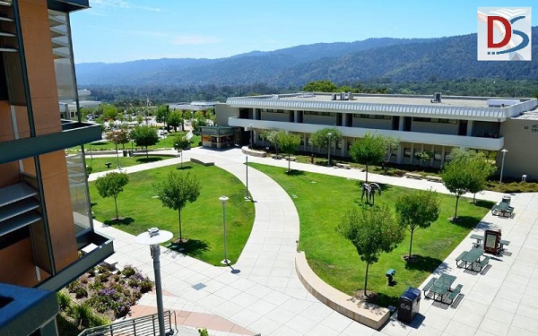 Canada College_2