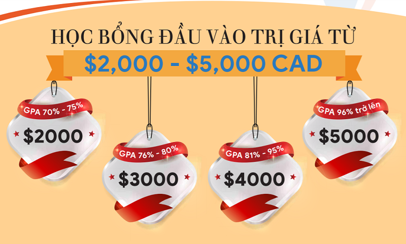 Học bổng Kingsway Academy