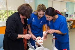 oral health therapy